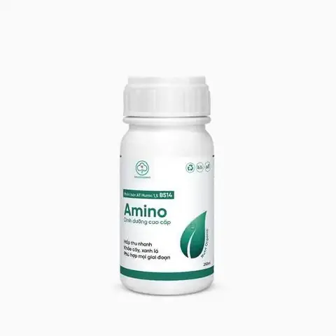 Cách Chăm Sóc Cây Bưởi Da Xanh Mới Trồng Chuẩn, Khỏe Mạnh Cách Chăm Sóc Cây Bưởi Da Xanh Mới Trồng Chuẩn, Khỏe Mạnh