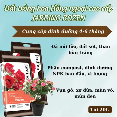 Cách Chọn Đất Trồng Cây Phù Hợp Theo Từng Loại Và Tình Trạng Đất Chuẩn Kỹ Thuật Cách Chọn Đất Trồng Cây Phù Hợp Theo Từng Loại Và Tình Trạng Đất Chuẩn Kỹ Thuật