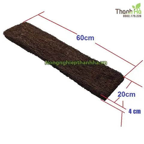 Hướng Dẫn Chi Tiết Cách Làm Bảng Dớn Trồng Lan Chuẩn Kỹ Thuật