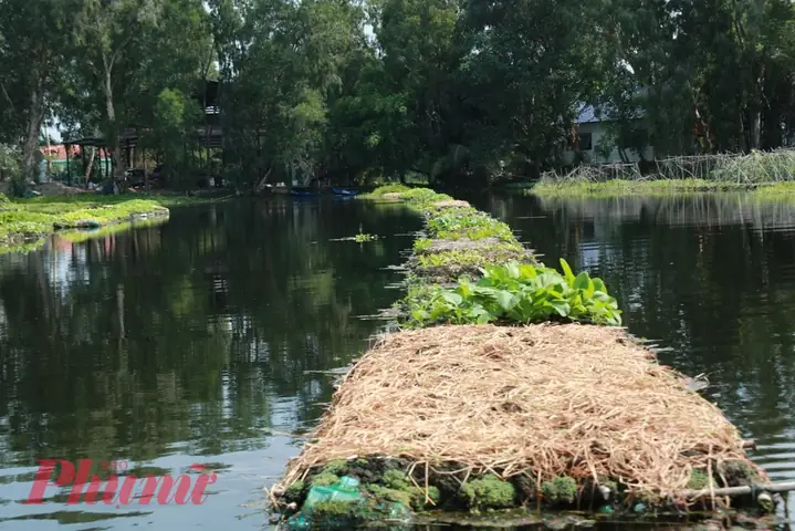 Hướng Dẫn Làm Bè Nổi Trồng Rau Sạch Đơn Giản Và Hiệu Quả