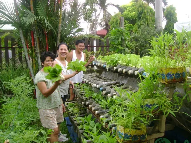 Hướng Dẫn Cách Tự Làm Chậu Trồng Cây Đơn Giản, Tiết Kiệm Tại Nhà