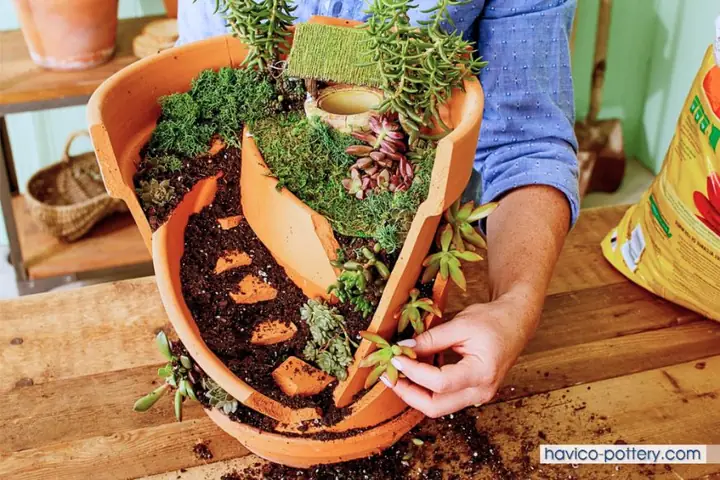 Cách Làm Chậu Trồng Sen Đá Đơn Giản, Sáng Tạo Từ Vật Liệu Có Sẵn
