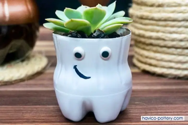Cách Làm Chậu Trồng Sen Đá Đơn Giản, Sáng Tạo Từ Vật Liệu Có Sẵn