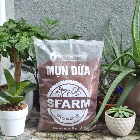 Cách Làm Đất Trồng Rau Mầm Tươi Xốp, Dinh Dưỡng Tại Nhà Đơn Giản Cách Làm Đất Trồng Rau Mầm Tươi Xốp, Dinh Dưỡng Tại Nhà Đơn Giản