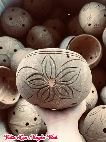Hướng Dẫn Cách Làm Gáo Dừa Trồng Lan Đơn Giản Và Hiệu Quả