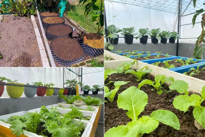 Hướng Dẫn Làm Giá Đỗ Sạch Tại Nhà: Đơn Giản, Nhanh Chóng Và An Toàn Hướng Dẫn Làm Giá Đỗ Sạch Tại Nhà: Đơn Giản, Nhanh Chóng Và An Toàn
