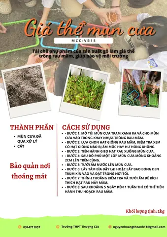Hướng Dẫn Làm Giá Đỗ Sạch Tại Nhà: Đơn Giản, Nhanh Chóng Và An Toàn Hướng Dẫn Làm Giá Đỗ Sạch Tại Nhà: Đơn Giản, Nhanh Chóng Và An Toàn