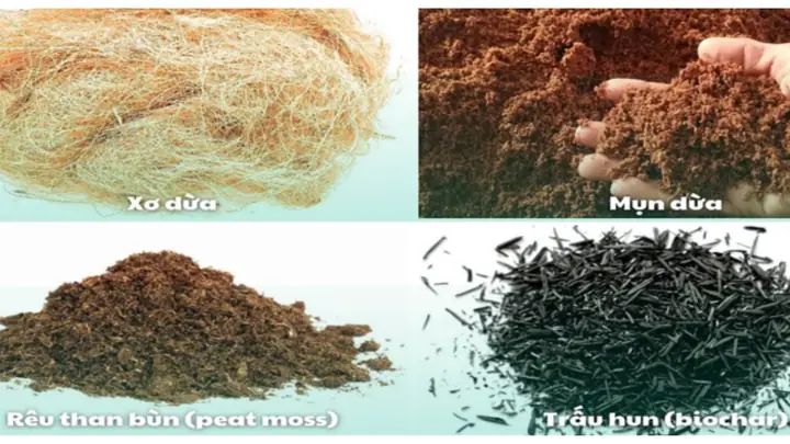 Cách Trộn Giá Thể Trồng Hoa Hồng Chuẩn Giúp Cây Xanh Tốt, Sai Hoa