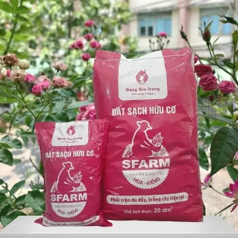 Cách Trộn Giá Thể Trồng Hoa Hồng Chuẩn Giúp Cây Xanh Tốt, Sai Hoa
