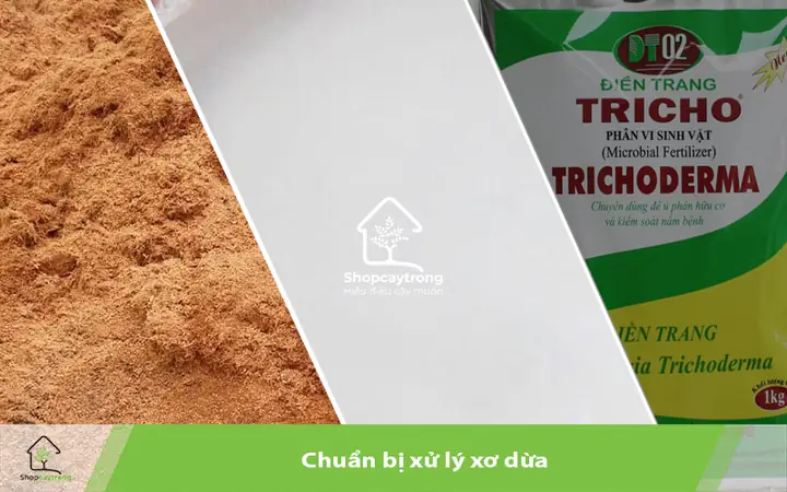 Cách Làm Giá Thể Trồng Rau Mầm Hiệu Quả Tại Nhà Cách Làm Giá Thể Trồng Rau Mầm Hiệu Quả Tại Nhà