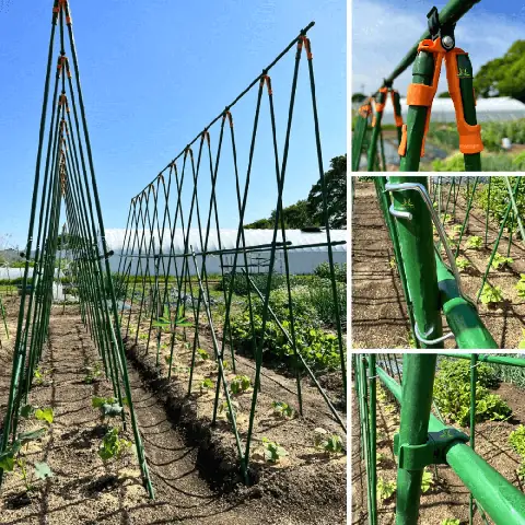10+ Cách Làm Giàn Trồng Rau Tại Nhà Đơn Giản, Tiết Kiệm Chi Phí