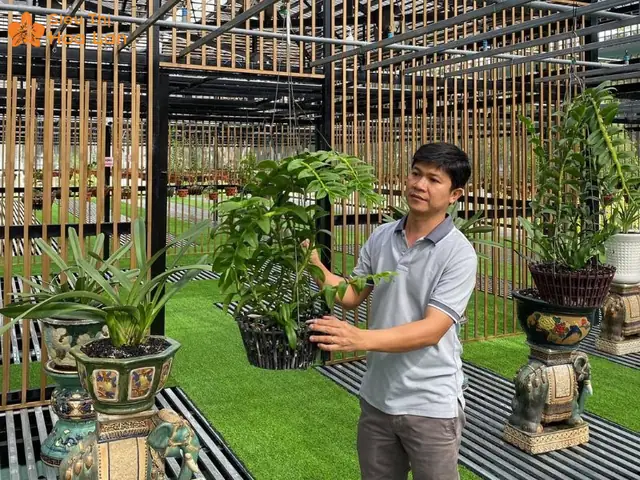 Hướng Dẫn Chi Tiết Cách Làm Giỏ Trồng Lan Đơn Giản Tại Nhà