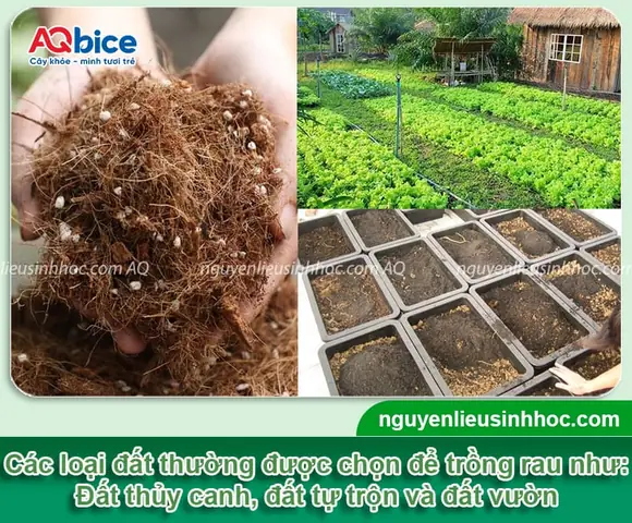 Hướng Dẫn Chi Tiết Cách Làm Luống Đất Trồng Rau Sạch, Tơi Xốp Chuẩn Vườn Hướng Dẫn Chi Tiết Cách Làm Luống Đất Trồng Rau Sạch, Tơi Xốp Chuẩn Vườn