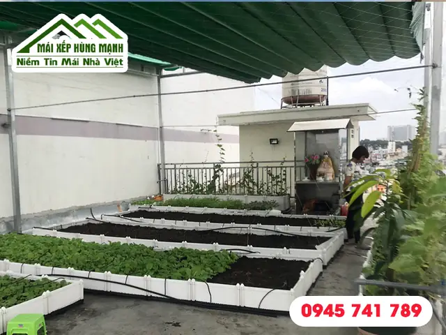 Hướng Dẫn Chi Tiết Cách Làm Mái Che Trồng Rau Đơn Giản, Hiệu Quả Hướng Dẫn Chi Tiết Cách Làm Mái Che Trồng Rau Đơn Giản, Hiệu Quả