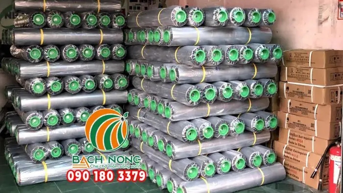 Cách Làm Máng Trồng Dâu Tây Hiệu Quả Tại Nhà Và Quy Mô Lớn