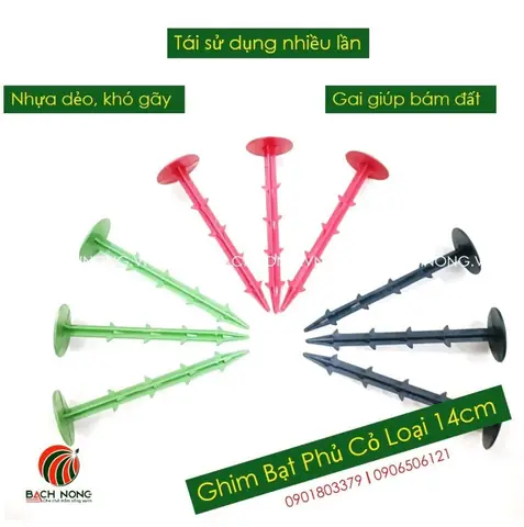 Cách Làm Máng Trồng Dâu Tây Hiệu Quả Tại Nhà Và Quy Mô Lớn