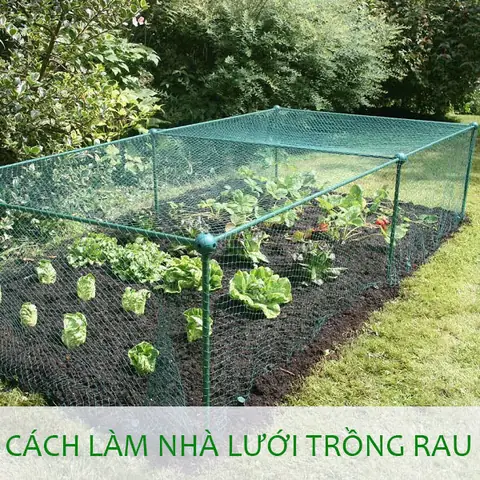 Cách Làm Nhà Lưới Trồng Rau Đơn Giản: Hướng Dẫn Chi Tiết Từ A-Z