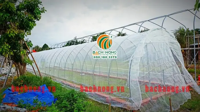 Cách Làm Nhà Màng Trồng Rau: Hướng Dẫn Từ A-Z Cho Người Mới Bắt Đầu