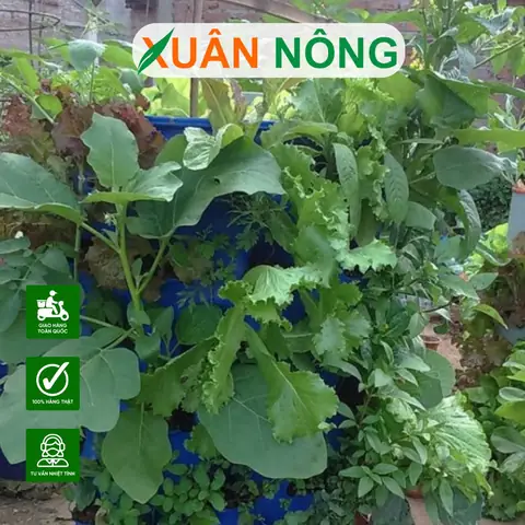 Hướng Dẫn Chi Tiết Cách Làm Tháp Trồng Rau Tại Nhà Từ A-Z Hướng Dẫn Chi Tiết Cách Làm Tháp Trồng Rau Tại Nhà Từ A-Z