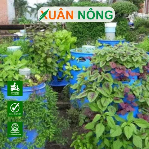 Hướng Dẫn Chi Tiết Cách Làm Tháp Trồng Rau Tại Nhà Từ A-Z Hướng Dẫn Chi Tiết Cách Làm Tháp Trồng Rau Tại Nhà Từ A-Z