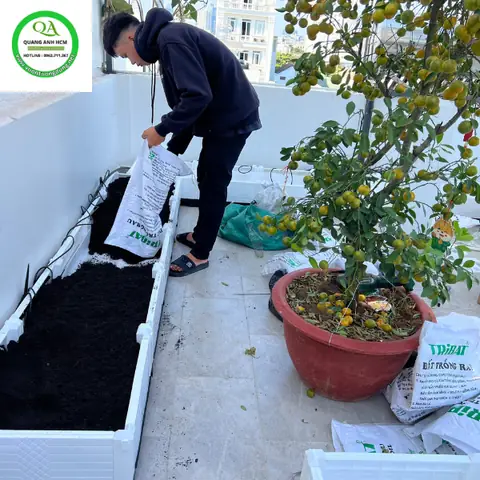 Hướng Dẫn Chi Tiết Cách Làm Thùng Trồng Rau Thông Minh Tại Nhà Bằng Vật Liệu Dễ Kiếm Hướng Dẫn Chi Tiết Cách Làm Thùng Trồng Rau Thông Minh Tại Nhà Bằng Vật Liệu Dễ Kiếm