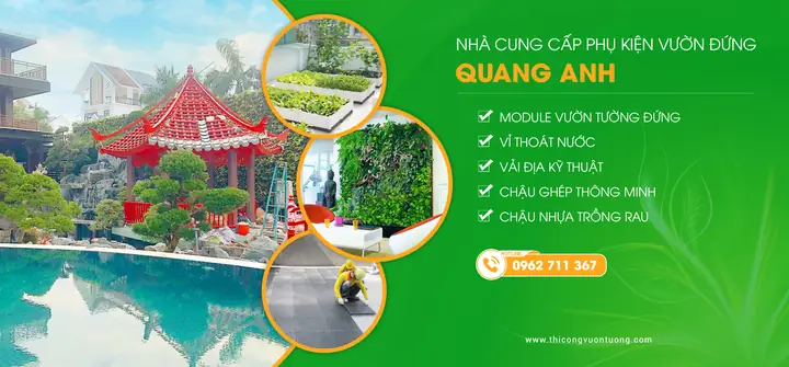Hướng Dẫn Chi Tiết Cách Làm Thùng Trồng Rau Thông Minh Tại Nhà Bằng Vật Liệu Dễ Kiếm Hướng Dẫn Chi Tiết Cách Làm Thùng Trồng Rau Thông Minh Tại Nhà Bằng Vật Liệu Dễ Kiếm