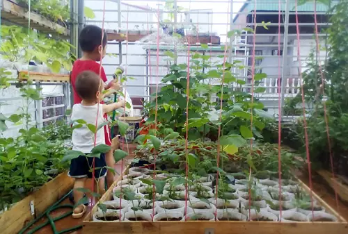 Hướng Dẫn Chi Tiết Cách May Túi Vải Trồng Rau Đơn Giản Tại Nhà Hướng Dẫn Chi Tiết Cách May Túi Vải Trồng Rau Đơn Giản Tại Nhà