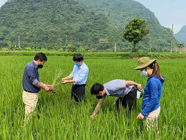 Cách Phòng Trừ Sâu Bệnh Hại Cây Trồng Hiệu Quả: Hướng Dẫn Toàn Diện Cách Phòng Trừ Sâu Bệnh Hại Cây Trồng Hiệu Quả: Hướng Dẫn Toàn Diện