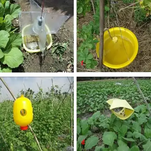 Cách Phòng Trừ Sâu Bệnh Hại Cây Trồng Hiệu Quả: Hướng Dẫn Toàn Diện Cách Phòng Trừ Sâu Bệnh Hại Cây Trồng Hiệu Quả: Hướng Dẫn Toàn Diện