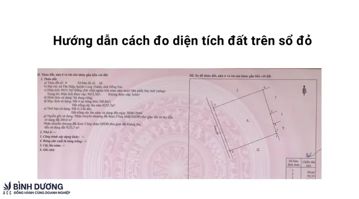 Cách Tính Số Cây Trồng Trên Diện Tích: Công Thức Chuẩn & Ví Dụ Thực Tế