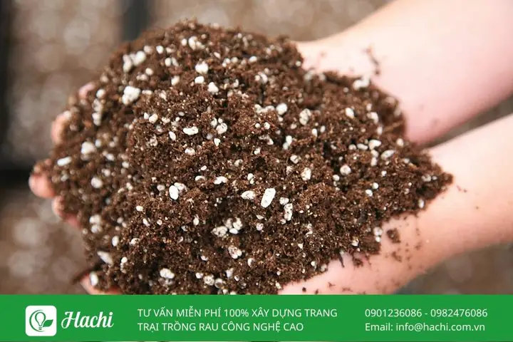 Cách Trộn Đất Trồng Rau Tại Nhà: Công Thức Tối Ưu Cho Cây Phát Triển Tốt
