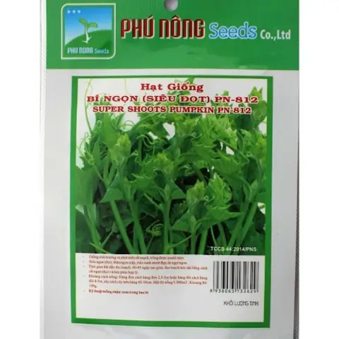 Cách Trồng Bí Đỏ Trong Thùng Xốp: Hướng Dẫn Chi Tiết Từ A-Z Cho Người Mới Bắt Đầu Cách Trồng Bí Đỏ Trong Thùng Xốp: Hướng Dẫn Chi Tiết Từ A-Z Cho Người Mới Bắt Đầu