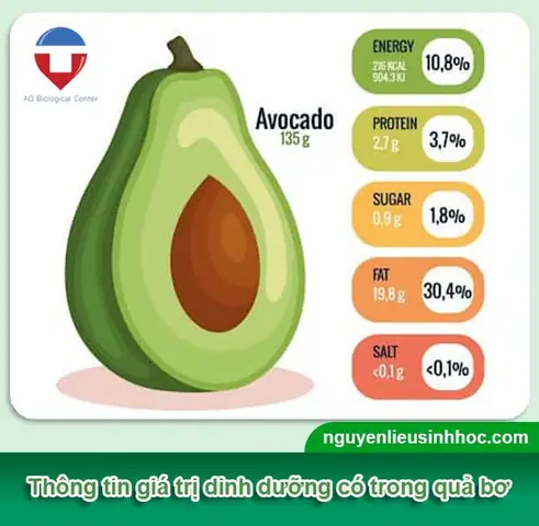 Hướng Dẫn Trồng Bơ Sáp Tại Nhà: Từ A-Z Cho Cây Năng Suất Cao Hướng Dẫn Trồng Bơ Sáp Tại Nhà: Từ A-Z Cho Cây Năng Suất Cao