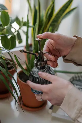 Cách Trồng Bồn Hoa Đẹp, Dễ Chăm Sóc Và Thiết Kế Ấn Tượng Cho Mọi Không Gian