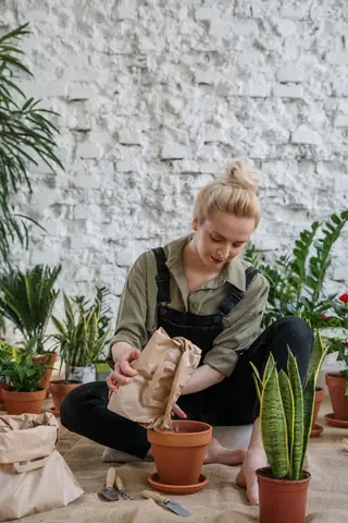 Cách Trồng Bồn Hoa Đẹp, Dễ Chăm Sóc Và Thiết Kế Ấn Tượng Cho Mọi Không Gian