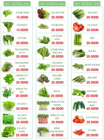 Hướng Dẫn Trồng Bông Điên Điển Cho Hoa Nở Quanh Năm, Thu Hoạch Nhanh
