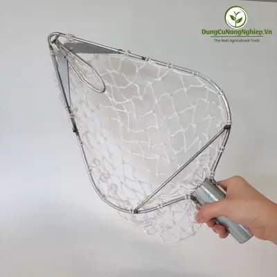 Hướng Dẫn Chi Tiết Cách Trồng Và Tạo Hình Bưởi Hồ Lô Đạt Chuẩn Tài Lộc
