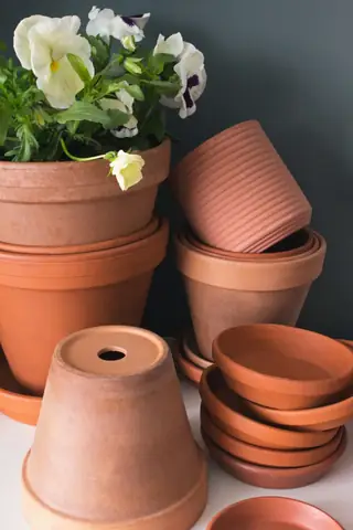 Hướng Dẫn Chi Tiết Cách Trồng Các Loại Hoa Cảnh Đẹp Tại Nhà Hướng Dẫn Chi Tiết Cách Trồng Các Loại Hoa Cảnh Đẹp Tại Nhà
