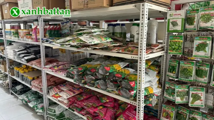 Cách Trồng Cải Mơ Tại Nhà: Hướng Dẫn Từ Gieo Hạt Đến Thu Hoạch Cách Trồng Cải Mơ Tại Nhà: Hướng Dẫn Từ Gieo Hạt Đến Thu Hoạch