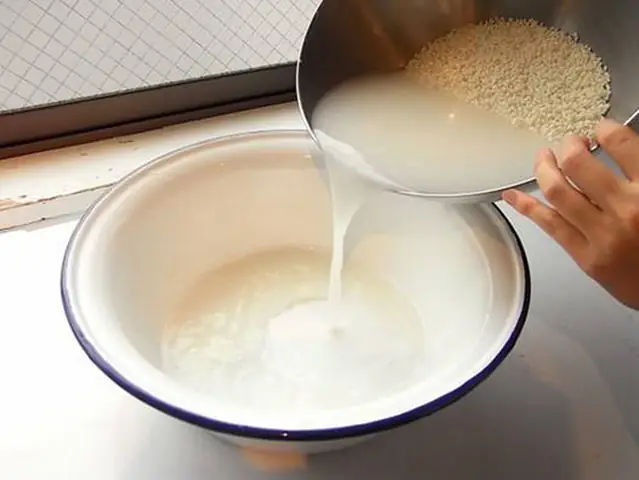 Hướng Dẫn Chi Tiết Cách Trồng Cây Cải Tại Nhà Đơn Giản, Năng Suất Cao Hướng Dẫn Chi Tiết Cách Trồng Cây Cải Tại Nhà Đơn Giản, Năng Suất Cao