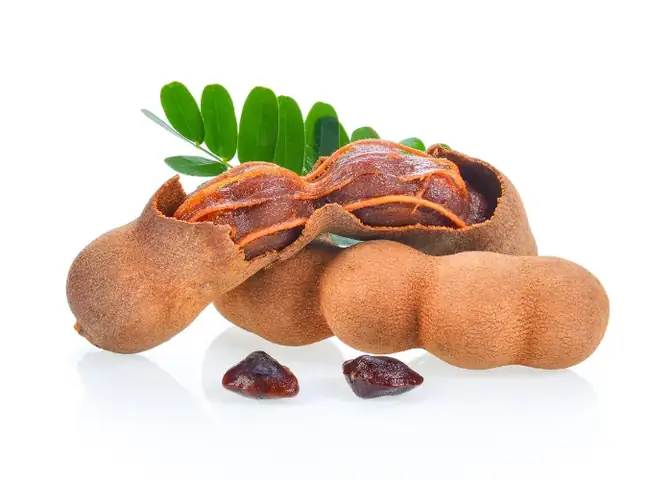 Cách Trồng Cây Chua Me Đất Dễ Dàng: Hướng Dẫn Chi Tiết Từ A-Z Cách Trồng Cây Chua Me Đất Dễ Dàng: Hướng Dẫn Chi Tiết Từ A-Z