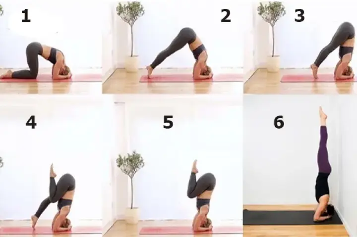 Hướng Dẫn Chi Tiết Cách Trồng Và Chăm Sóc Cây Chuối Toàn Diện