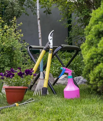 Cách Trồng Cây Chuỗi Ngọc Làm Hàng Rào Đẹp Và Mướt Nhanh Chóng