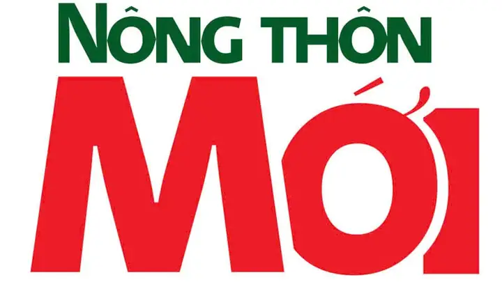 Hướng Dẫn Chi Tiết Cách Trồng Cây Dâu Da Xanh Đạt Năng Suất Cao