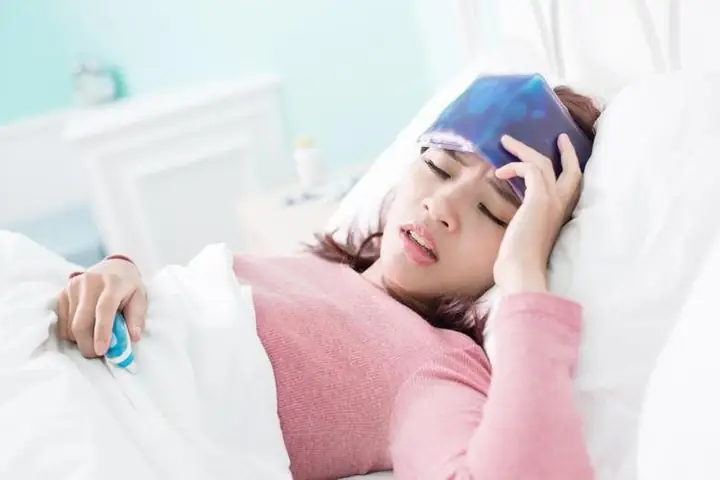 Hướng Dẫn Chi Tiết Cách Trồng Cây Địa Liền Cho Năng Suất Cao