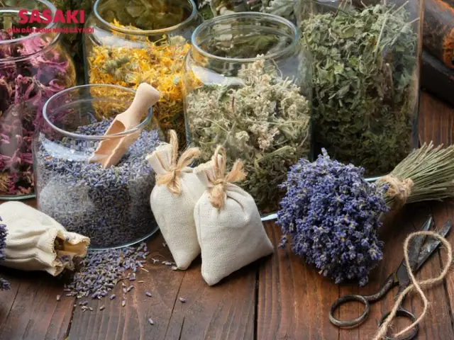 Hướng Dẫn Chi Tiết Cách Trồng Cây Dược Liệu Quý Để Phát Triển Kinh Tế Hiệu Quả