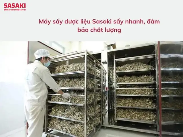 Hướng Dẫn Chi Tiết Cách Trồng Cây Dược Liệu Quý Để Phát Triển Kinh Tế Hiệu Quả