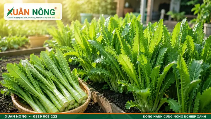 Hướng Dẫn Chi Tiết Cách Trồng Cây Gai Xanh Cho Năng Suất Cao Hướng Dẫn Chi Tiết Cách Trồng Cây Gai Xanh Cho Năng Suất Cao