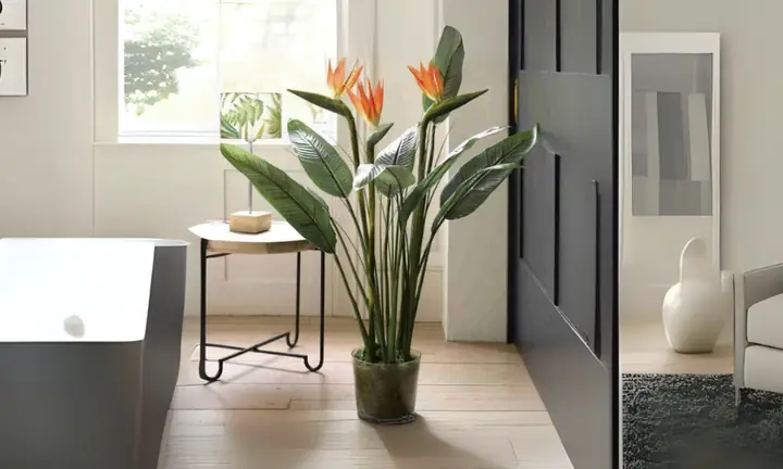 Hướng Dẫn Trồng Cây Hiệu Quả: Từ A-Z Cho Người Mới Bắt Đầu Hướng Dẫn Trồng Cây Hiệu Quả: Từ A-Z Cho Người Mới Bắt Đầu