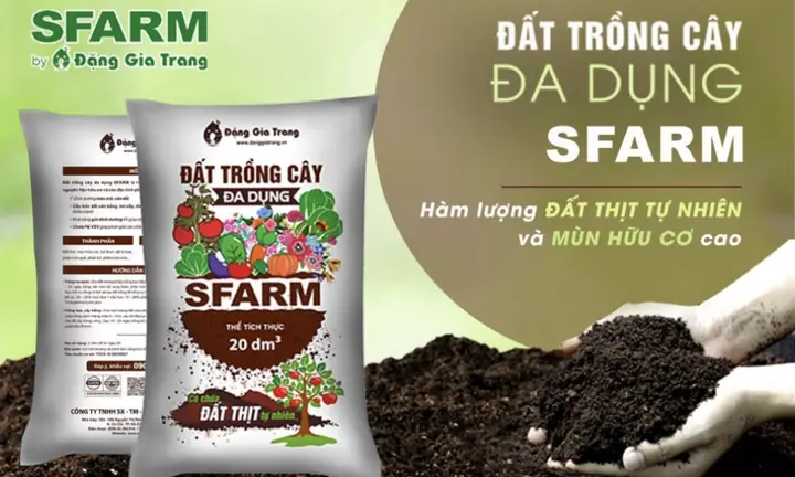 Hướng Dẫn Trồng Cây Hiệu Quả: Từ A-Z Cho Người Mới Bắt Đầu Hướng Dẫn Trồng Cây Hiệu Quả: Từ A-Z Cho Người Mới Bắt Đầu